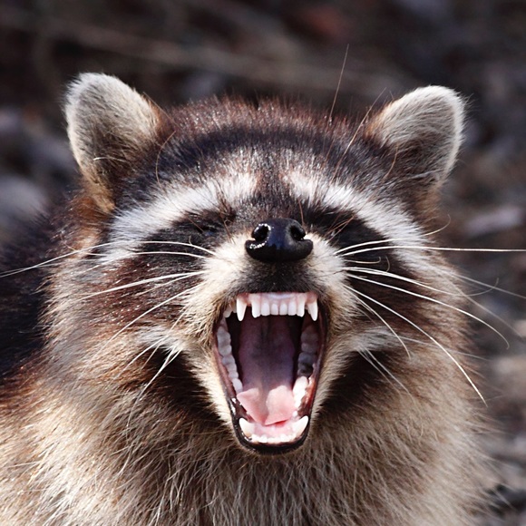 Intro listing! - Picture 1 of 1